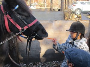 プログラムⅡ ポニーの引き馬体験