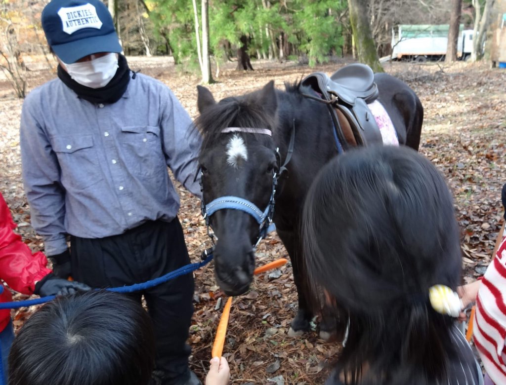 プログラムⅡ ポニーの引き馬体験