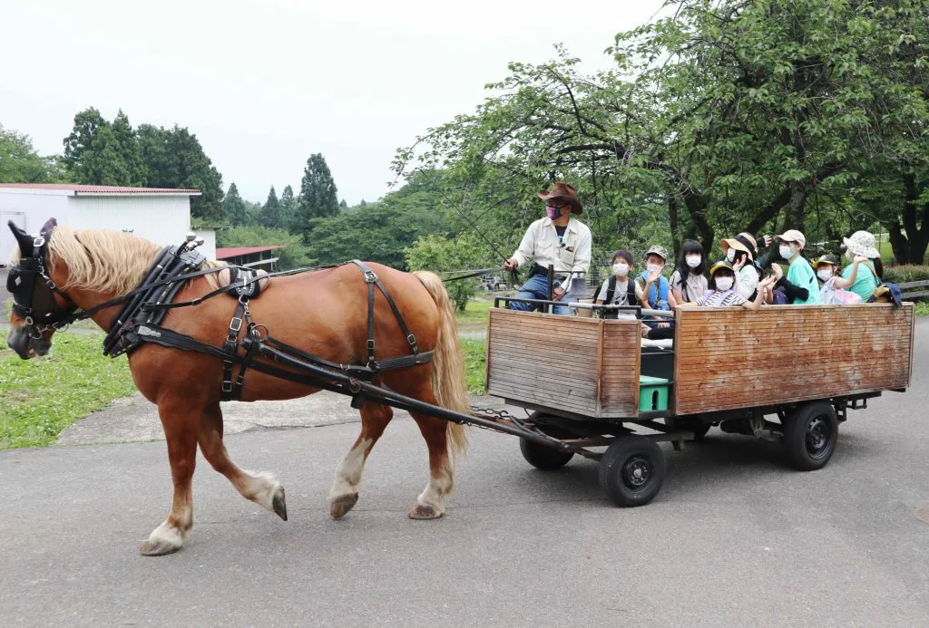 プログラムⅠ 馬車・うさぎのふれあい