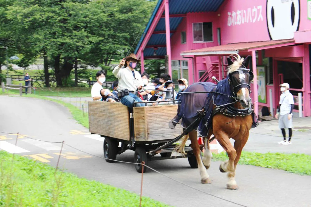 プログラムⅠ 馬車・うさぎのふれあい
