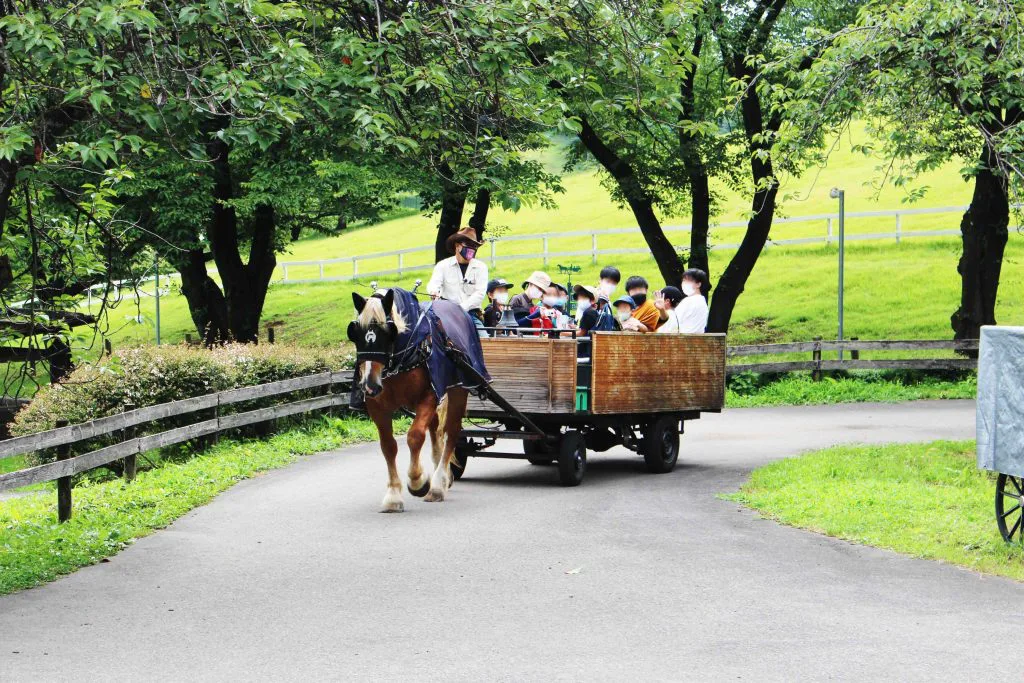 プログラムⅠ 馬車・うさぎのふれあい