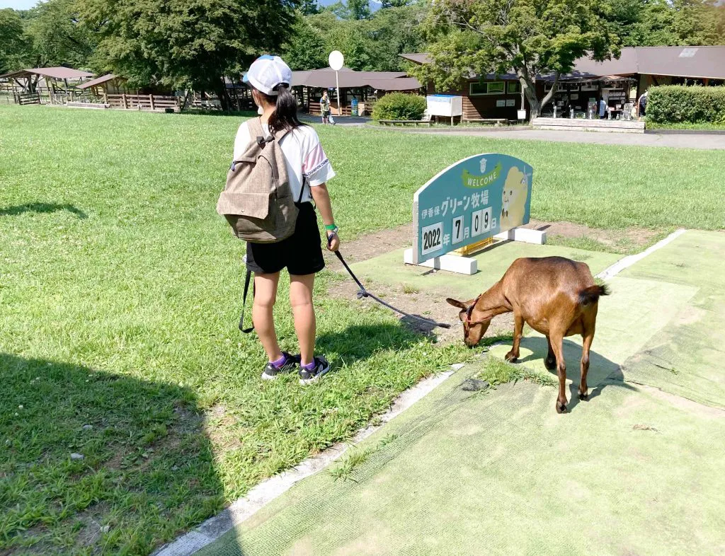 休憩時間 バーベキュー