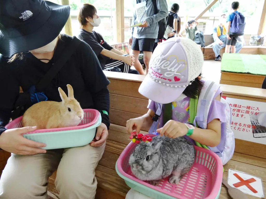 プログラムⅠ 馬車・うさぎのふれあい