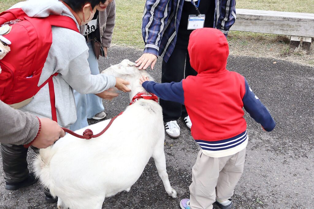 動物たちとのふれあい