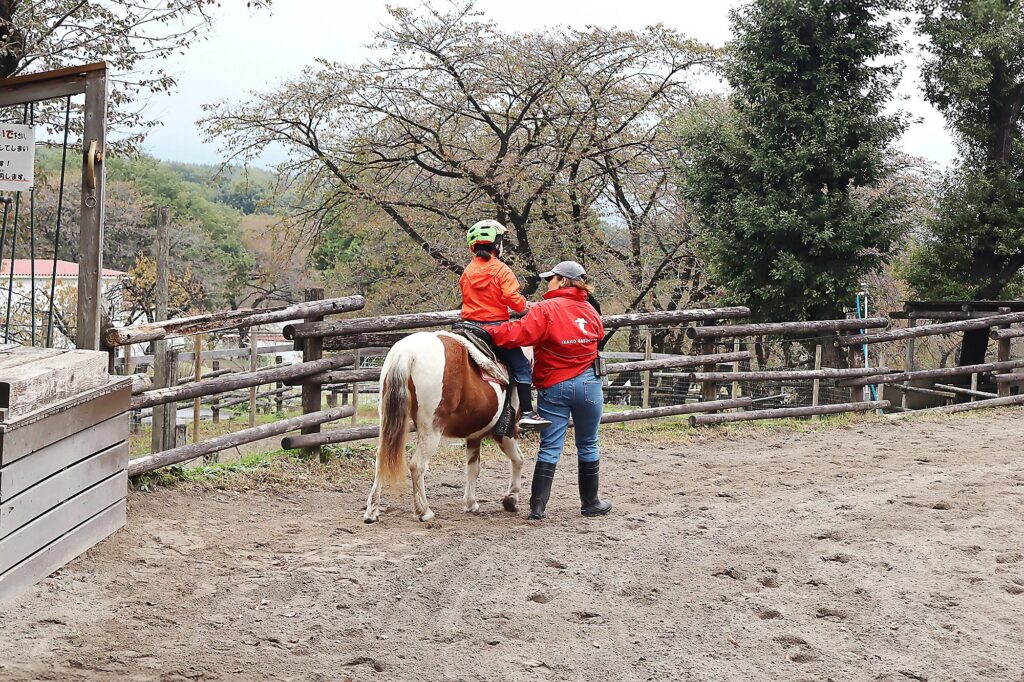 動物たちとのふれあい